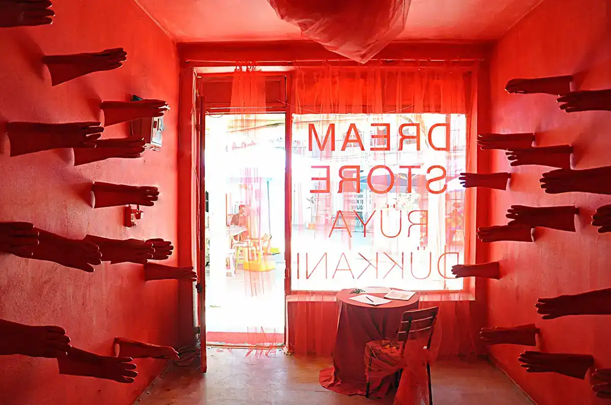 Dream Store (2014)